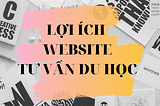 thiết kế website tư vấn du học