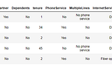 Analyzing Customer Churn Data with Python