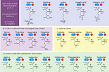 Second Follow-Up to “How to Easily Memorize the Chart for All 22 Amino Acids, including the…