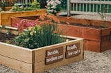 Raised garden bed wood how to choose the best?