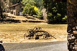 Inspiration at Jack London State Historical Park