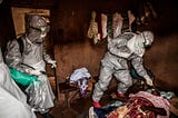 The Ebola Connection