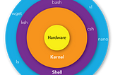 What happens when you type ls -l in the shell?