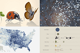Data Visuals That Stood Out to Us This Week