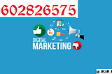 Business Leads Provider in India – B2B database and Digital Marketing Company in India – 8602826575