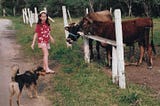 Retalhos de memória: a melhor vaca do mundo.