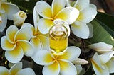 Jasmine Oil Benefits for Skin and Beauty