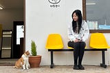 濟州島自駕2024文青小景點三選：孝利家民宿、牧場裡的藍瓶咖啡、吉宙貓貓咪咖啡店