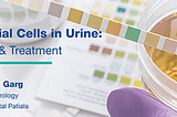 Epithelial Cells In Urine: Types, Causes, Symptoms And Treatment