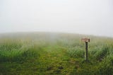 There Is No Spiritual Path