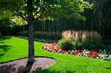 Chicago Botanic Garden’s Expansive Native Plant Garden