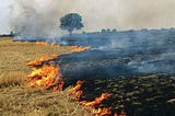 Farmer Protests and Punjab’s ecological frying pan. Can corporates help?”