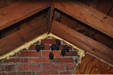 Bat Control and Removal: How Can You Get Bats Out of Your House?