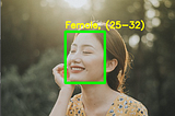 Using image data, predict the gender and age range of an individual in Python