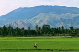 Transforming food systems in the face of climate change: Encouraging meaningful youth participation