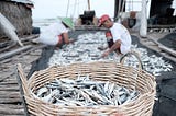 Garuda’s efforts on increasing fisheries export: How is Indonesia’s Fisheries Industry?