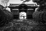 “The Essence of Living: Delving into the Beliefs and Practices of Ikigai”
