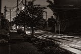 A quiet neighborhood street after rain, the street wet and shining