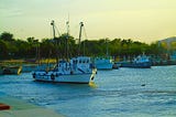 Iniciativa entre la FAO y Cuba impulsa uso sostenible de los recursos marinos en Golfo de…