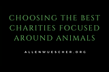 Choosing The Best Charities Focused Around Animals