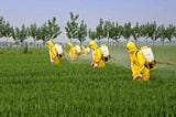 Spraying pesticides