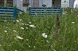 Lawns