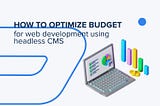 How to Optimize Your Budget for WEB Development Using Headless CMS