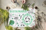 Sustainability in Manufacturing: The Role of Digital Transformation