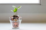 Guide to Startup Funding Stages: From Pre-Seed to IPO