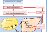 Ketogenic Diet