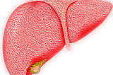 The First Signs of Alcoholic LiverDamage Are Not in the Liver