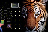 Wildlife Watchdogs: Computer Vision’s Role in Saving Our Natural World