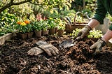 Como Preparar a Terra para Plantar Flores