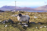 Are Young People Rejecting Rural Ireland? (2014)