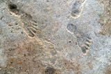 Human footprints from White Sands National Park, New Mexico. Dated 21,000-23,000 years old.