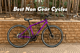 Best Non Gear Cycles in India for Adults