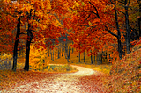 3 Ways to Freshen Your Inbound Marketing Strategy for Fall
