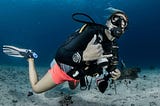 Divemaster Internship With Unlimited Diving: 
Why It’s Your Best Choice