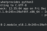 Setting up Python Environment on Top of Docker Container :