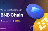 Dexpools is Getting Ready To Launch On BNB Chain — Dexpools