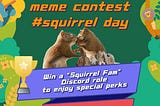 SongRise Community Meme Contest