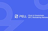 An Introduction to Pell Network