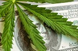 The Best Marijuana Stocks to Buy in 2021
