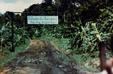 The Massacre of Jonestown — FunFactMania