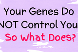 Your Genes Do NOT Control You! So What Does?