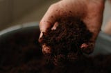 What is soil testing? A beginner’s guide