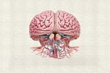 I Published the Brainstem Hypothesis of Long Covid in 2021. New Studies Now Validate It