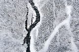 Thoughts on Wintering