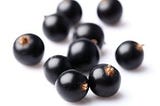 The Seed Oil: Blackcurrant Seed Oil