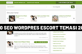 Wordpress Escort Teması — Escort Sitesi Açmak